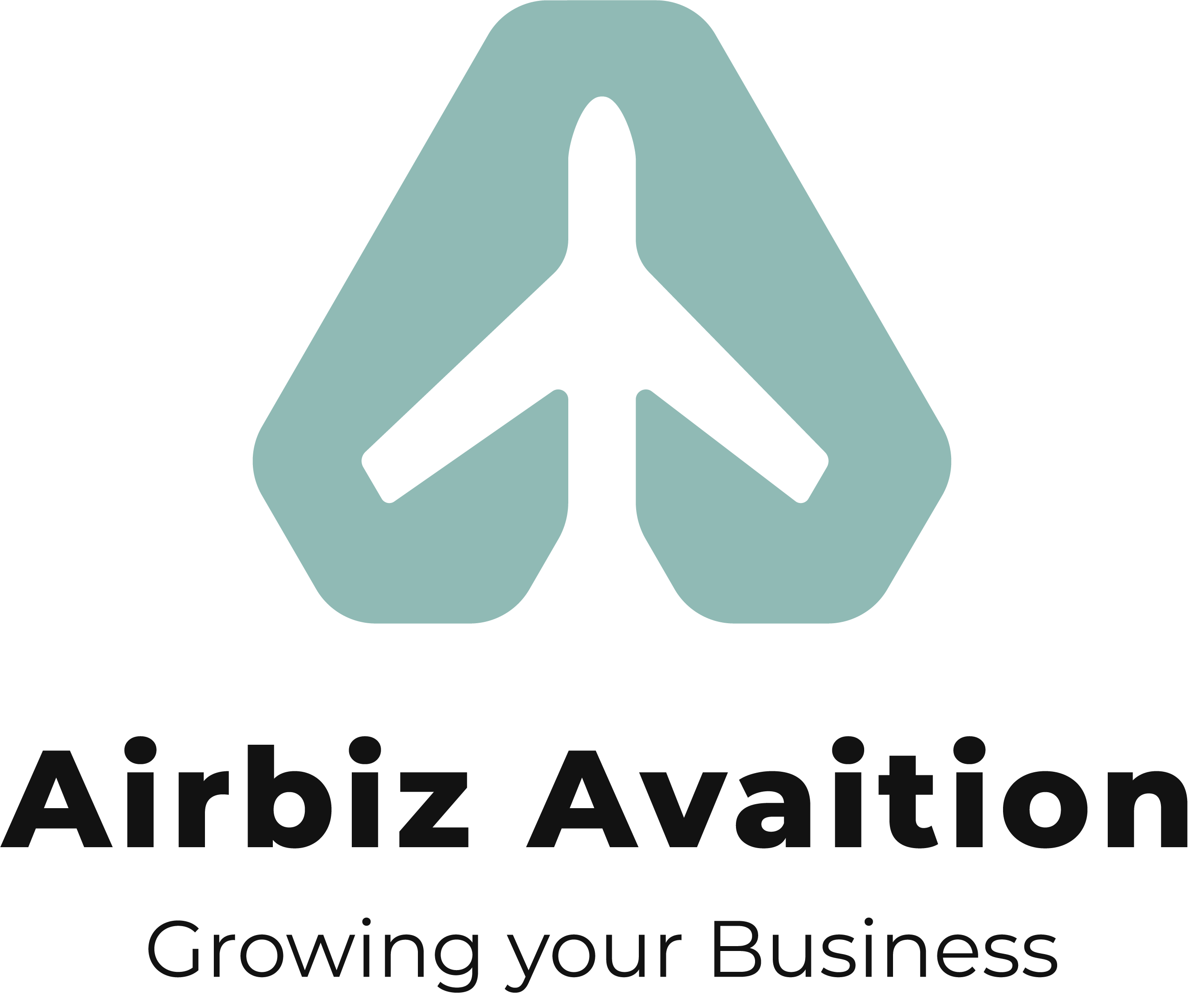 Airbiz Avaition 